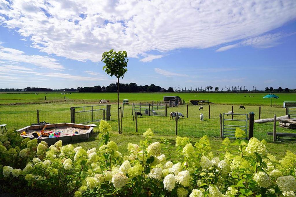 Vakantieboerderij Huize Nuis Noordbeemster 外观 照片